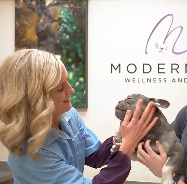 Modern Vet Picture 8