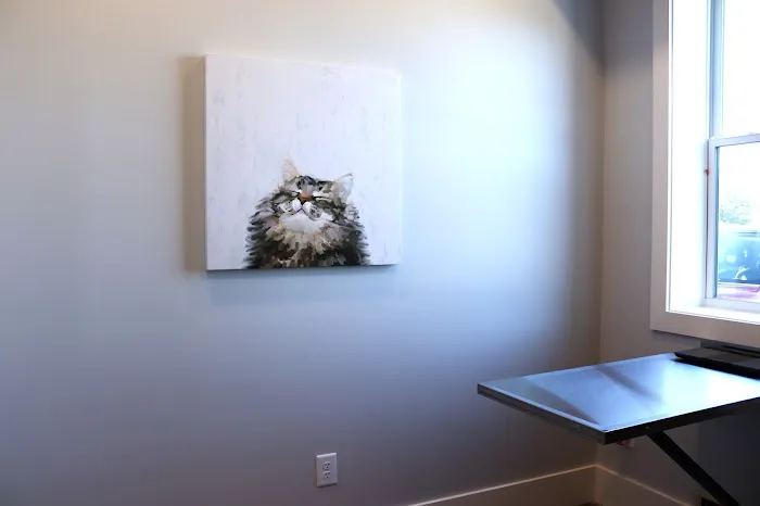 Modern Vet Picture 7
