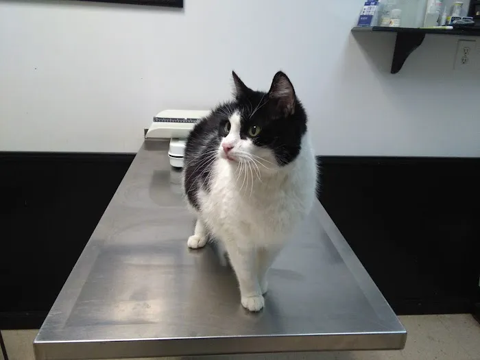 Lincoln Veterinary Clinic LLC Picture 9