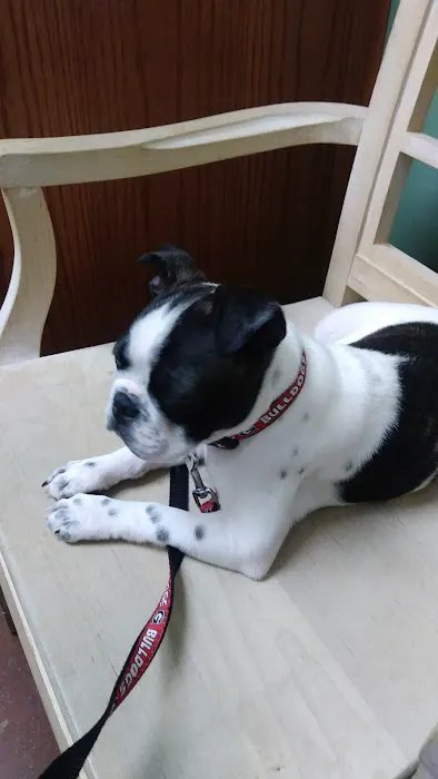 Euharlee Animal Clinic Picture 1