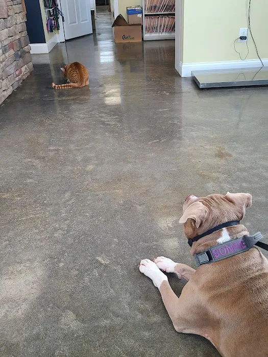Euharlee Animal Clinic Picture 8