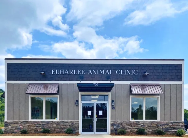 Euharlee Animal Clinic Picture 10