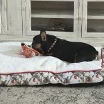 Westside Animal Hospital