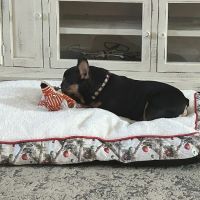 Westside Animal Hospital ico