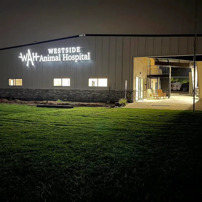 Westside Animal Hospital Picture 4