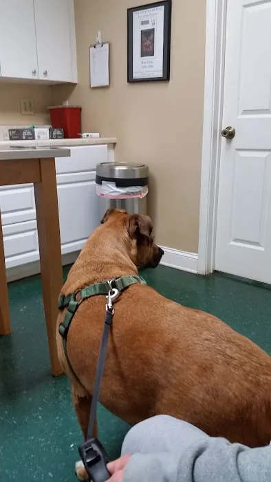 Pet Vet Clinic Picture 9
