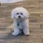 Logan Martin Vet Clinic