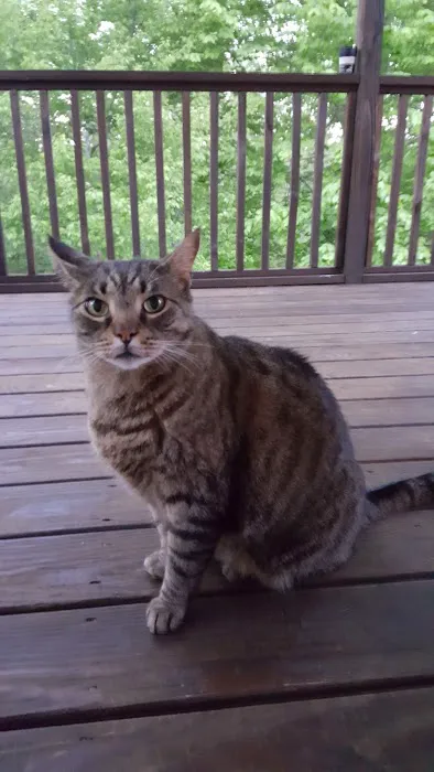 Stewart Animal Clinic: Bonds Tara DVM Picture 4