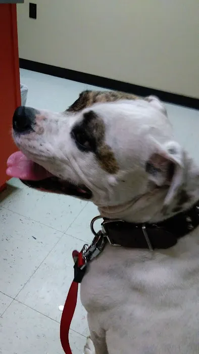 Stewart Animal Clinic: Bonds Tara DVM Picture 6