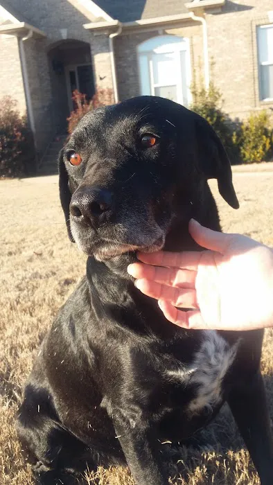 Stewart Animal Clinic: Bonds Tara DVM Picture 5