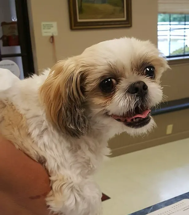 Stewart Animal Clinic Picture 3