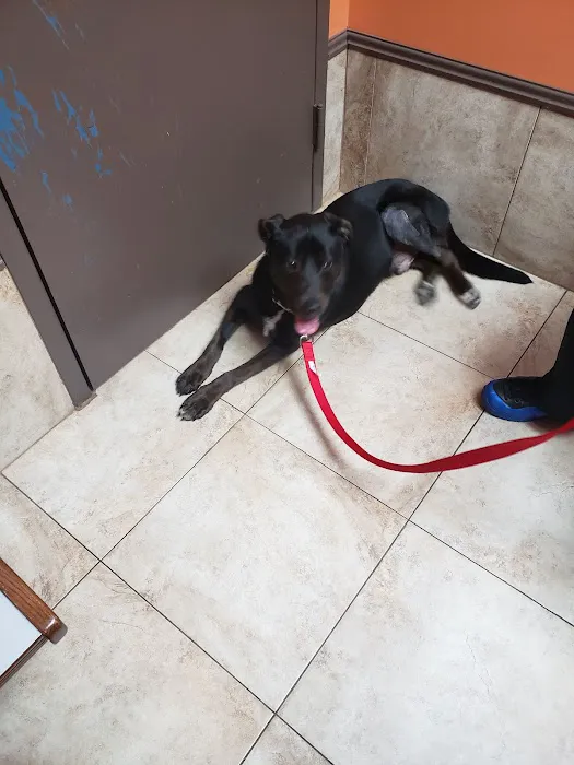 Clay-Chalkville Animal Clinic Picture 3