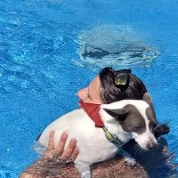 Pinson Animal Hospital ico