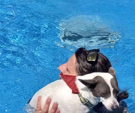 Pinson Animal Hospital