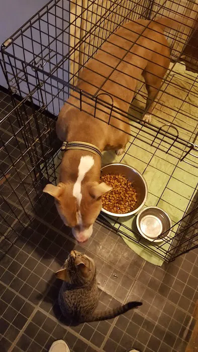 Pinson Animal Hospital Picture 7