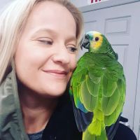 Grayson Valley Pet Clinic ico