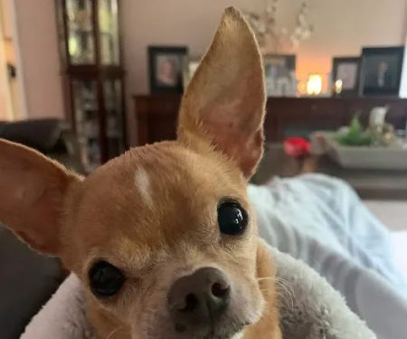 Branchville Animal Hospital