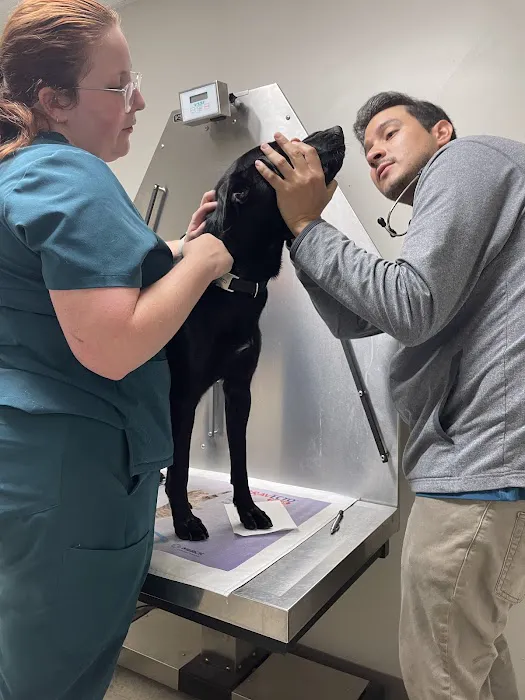 Branchville Animal Hospital: Bean R A DVM Picture 2