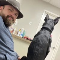 Branchville Animal Hospital: Bean R A DVM ico