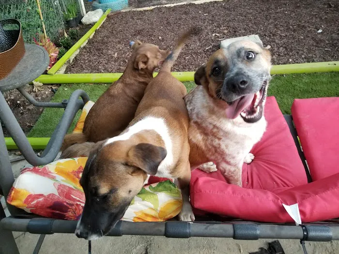 Total Pet Care Hospital Picture 2