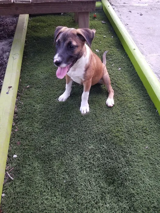 Total Pet Care Hospital Picture 3