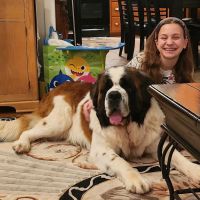 Trussville Animal Hospital ico