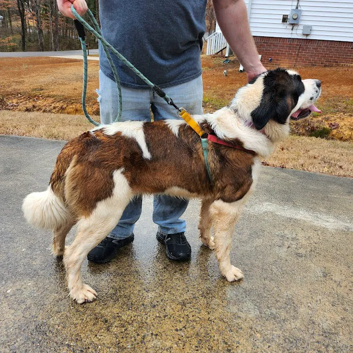 Trussville Animal Hospital Picture 10