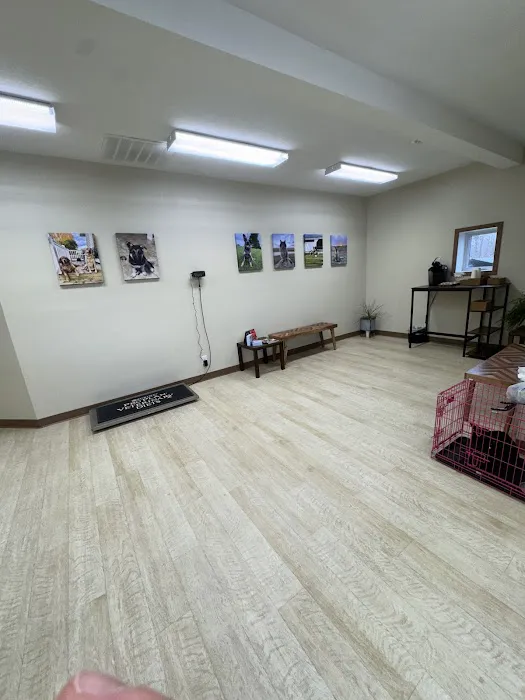 Iowa Falls Veterinary Care Picture 1