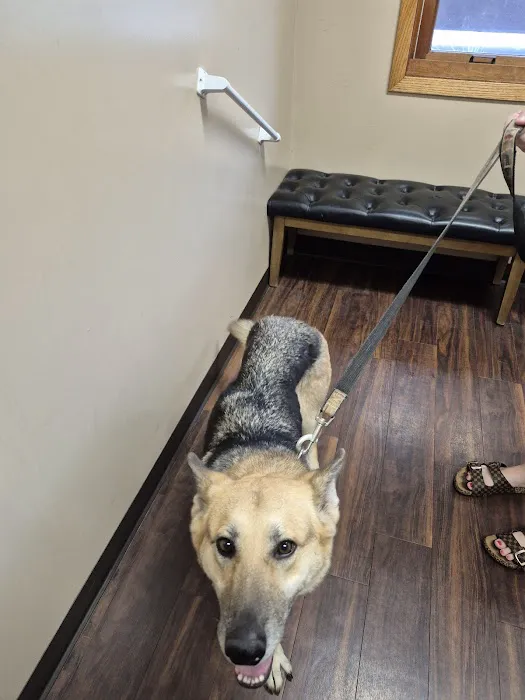 Eldora Veterinary Care Picture 4