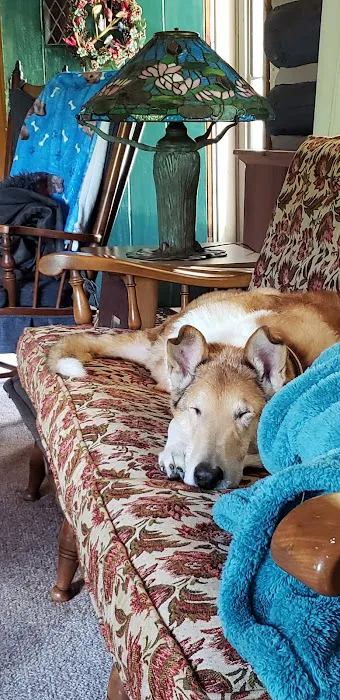 Eldora Veterinary Care Picture 1