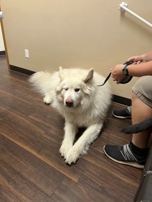 Eldora Veterinary Care Picture 6
