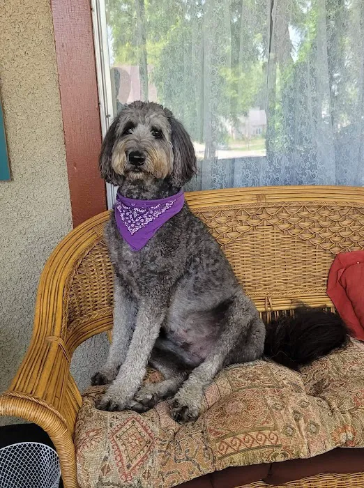 Eldora Veterinary Care Picture 7