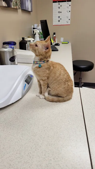 Eldora Veterinary Care Picture 8