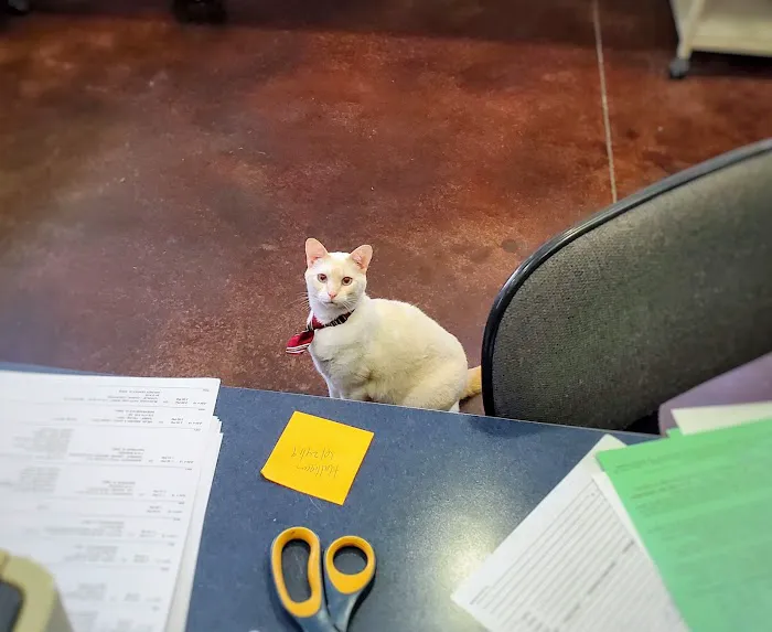 Independence Veterinary Clinic Picture 1