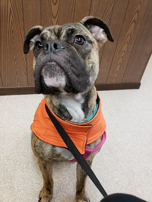Hudson Veterinary Clinic Picture 3