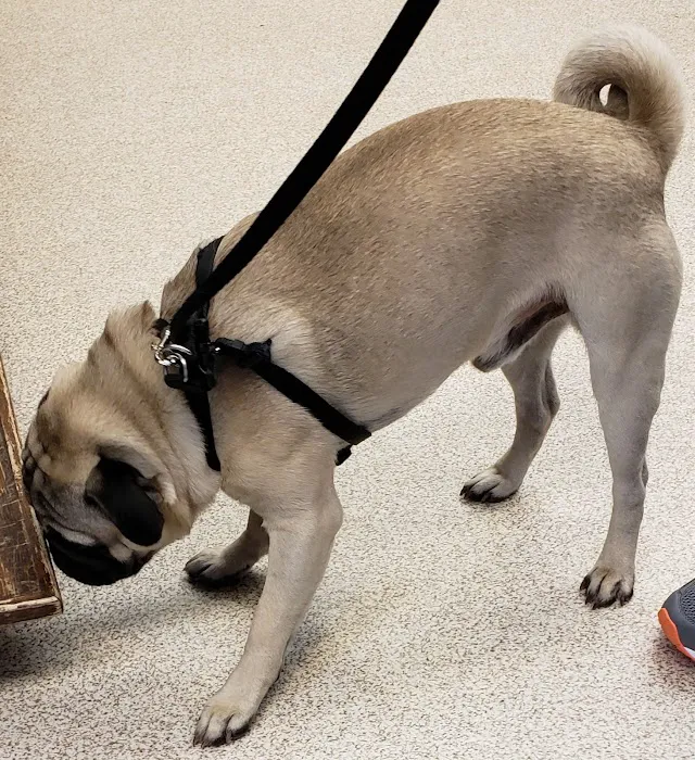 Hudson Veterinary Clinic Picture 4