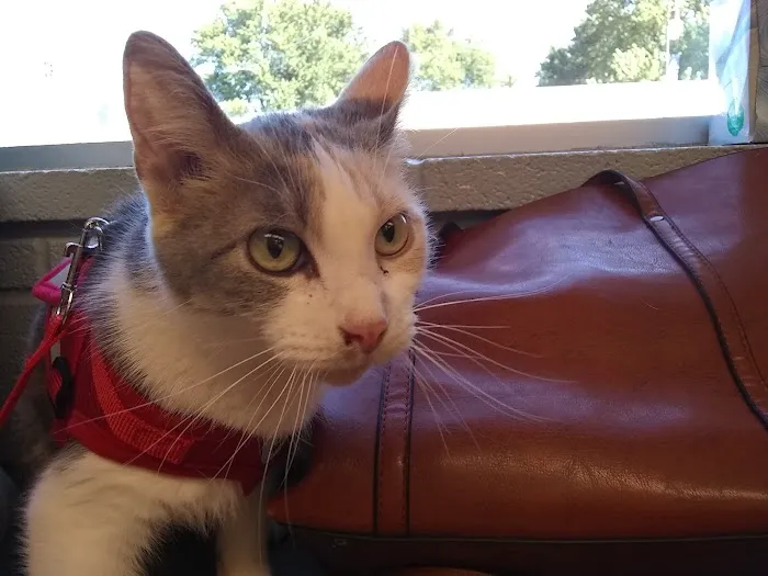 Hudson Veterinary Clinic Picture 8