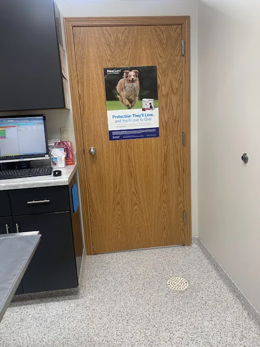 Steckelberg Veterinary Clinic Picture 3