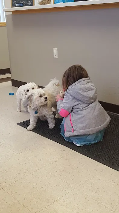 Steckelberg Veterinary Clinic Picture 2