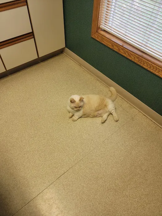 Animal Medical Center Picture 3