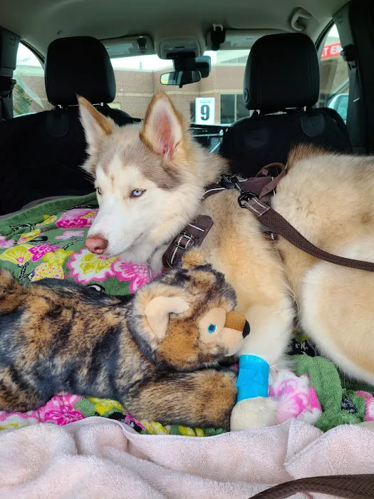 BluePearl Pet Hospital Picture 10