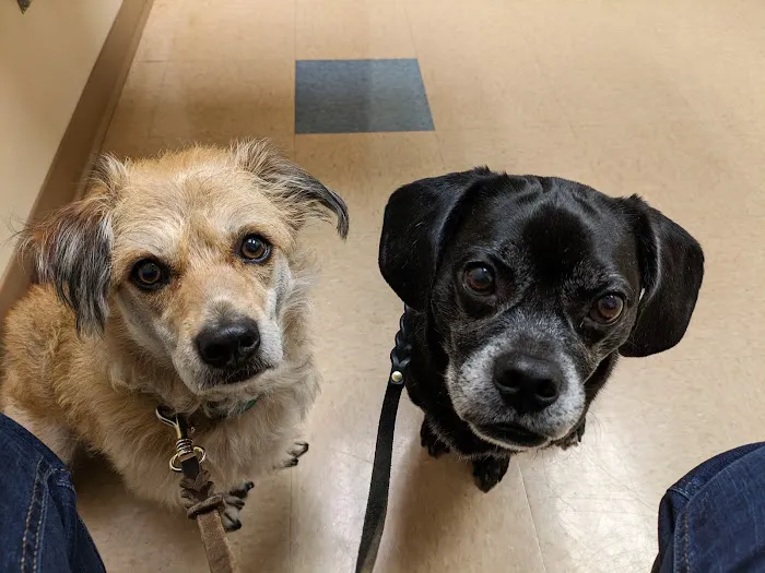 Wellness Veterinary Clinic Picture 3
