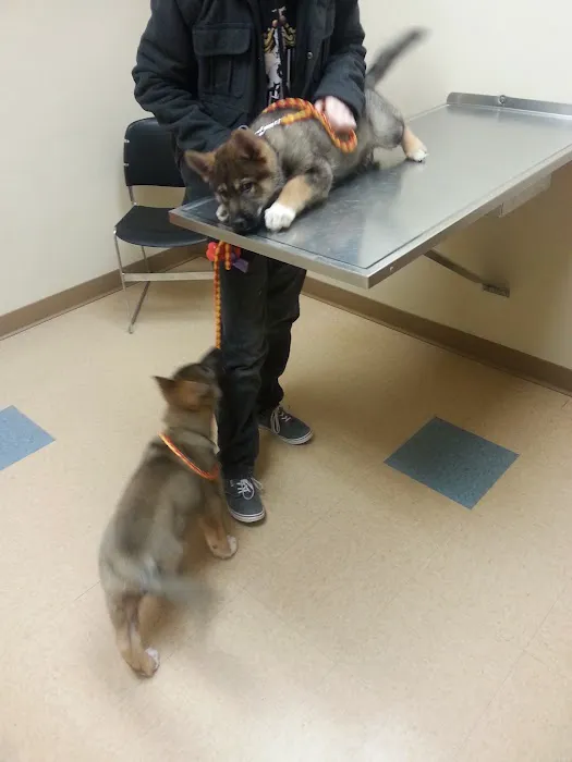 Wellness Veterinary Clinic Picture 9