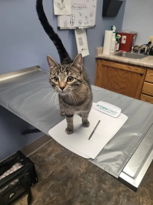 North Heights Veterinary Clinic Picture 6