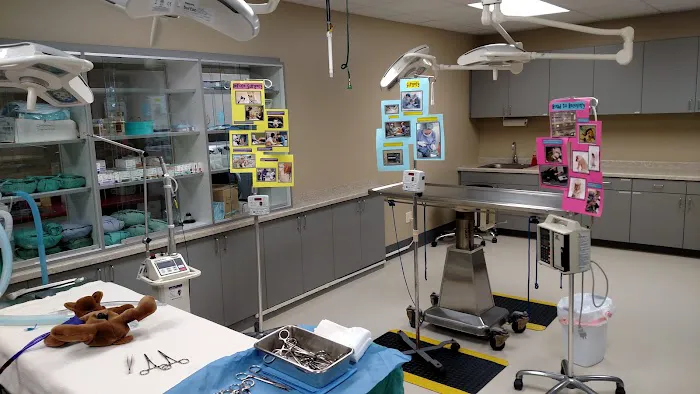 Country View Animal Hospital Picture 3