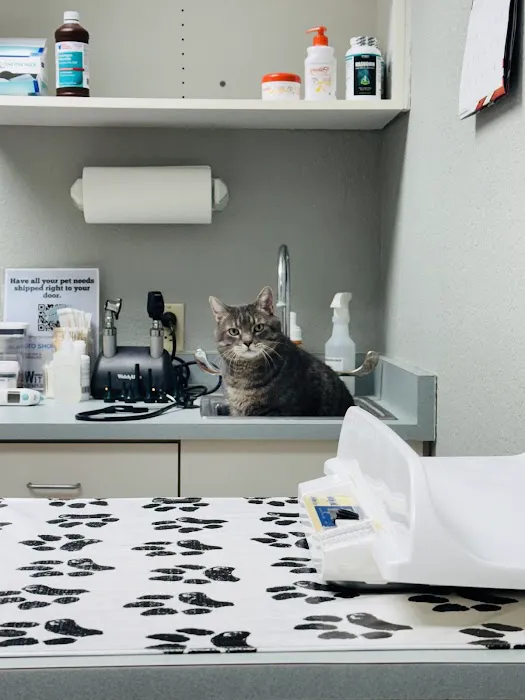 Wittenberg Vet Clinic Companion Picture 6