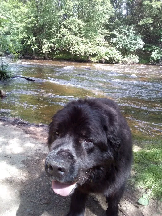 Wittenberg Vet Clinic Companion Picture 7