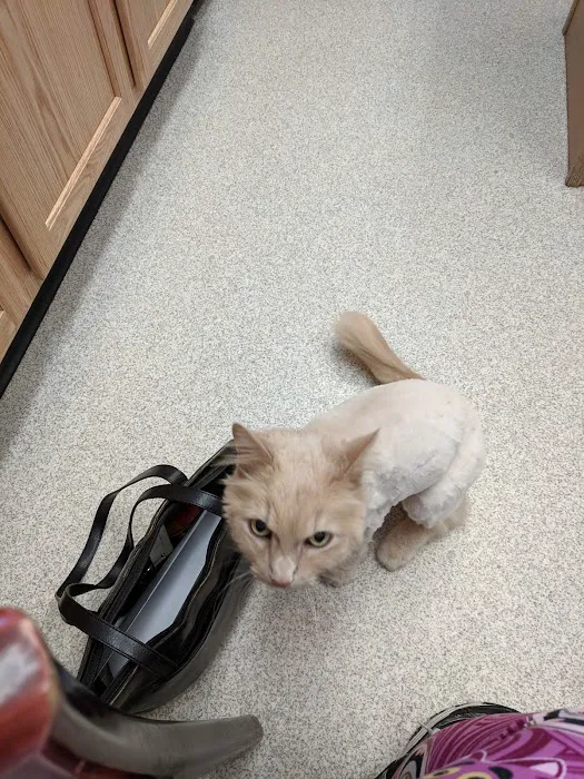 The Ripon Veterinary Clinic Picture 8
