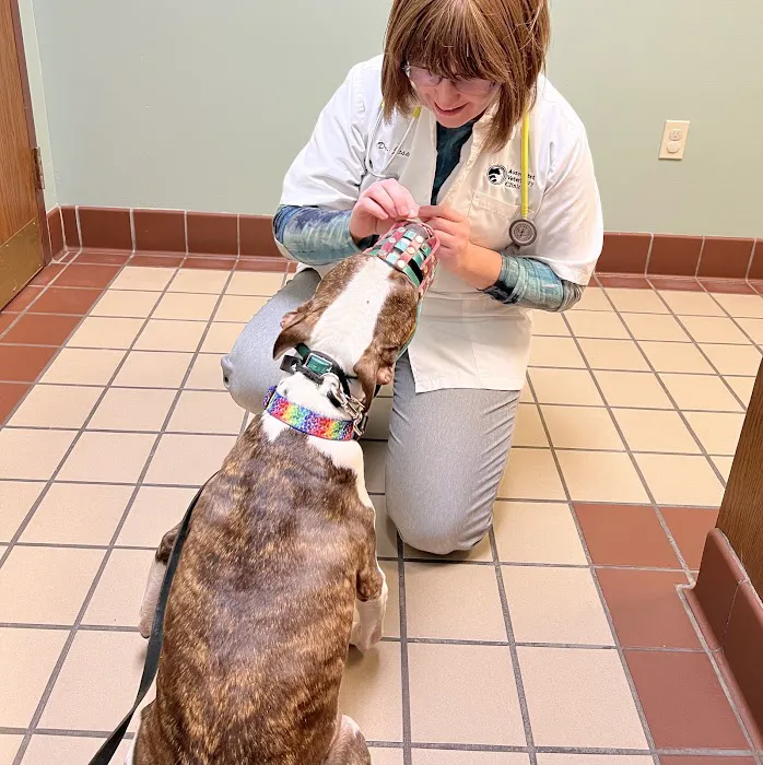 Associated Veterinary Clinic Picture 9