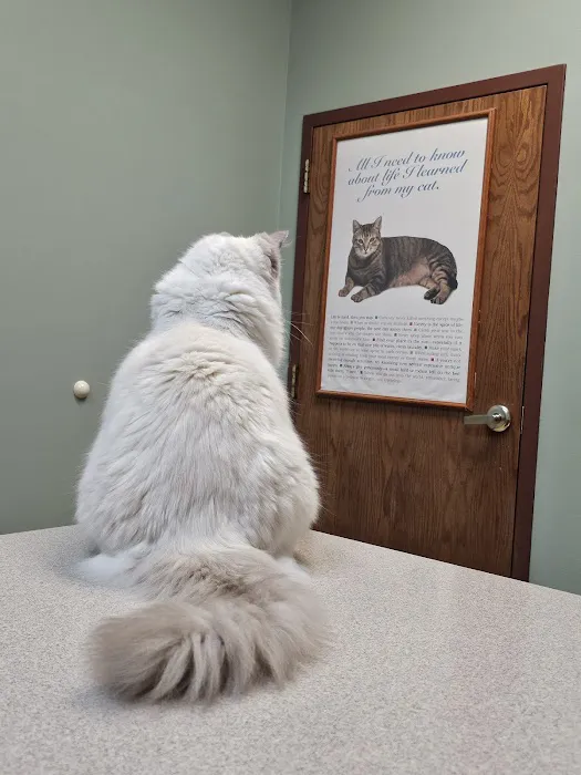 Associated Veterinary Clinic Picture 10